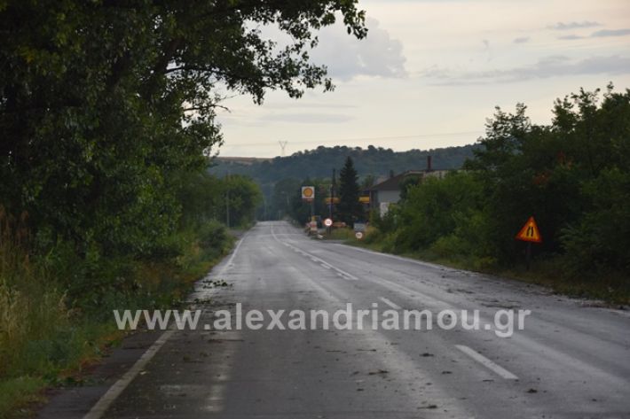 alexandriamou.gr_kuxeli14DSC_0737