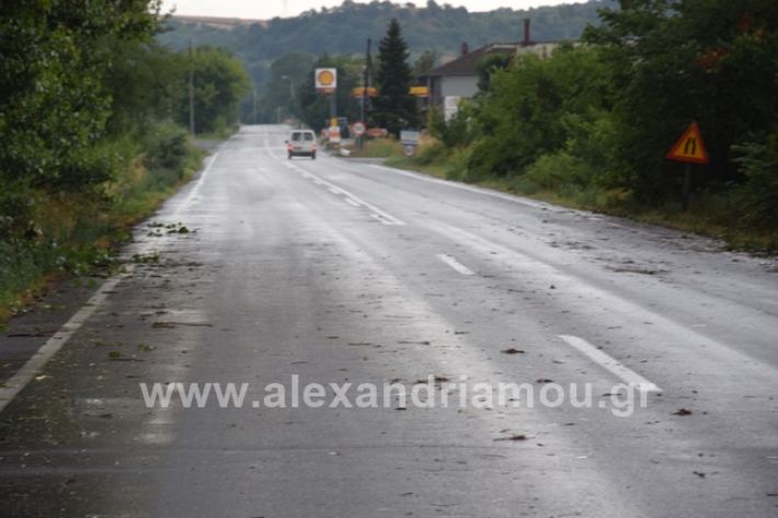 alexandriamou.gr_kuxeli14DSC_0741