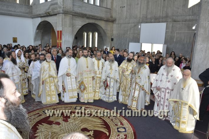 alexandriamou_xeiritonia_diakonoy_papaxrhstoy018