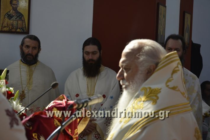 alexandriamou_xeiritonia_diakonoy_papaxrhstoy029