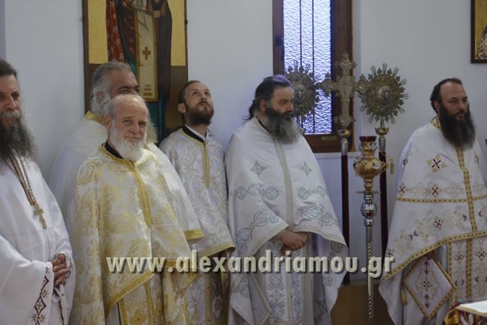 alexandriamou_xeiritonia_diakonoy_papaxrhstoy030