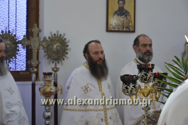 alexandriamou_xeiritonia_diakonoy_papaxrhstoy031