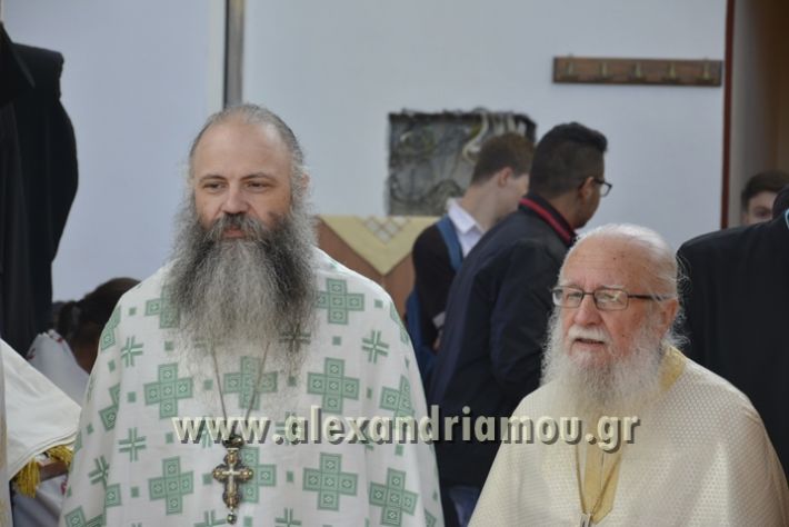 alexandriamou_xeiritonia_diakonoy_papaxrhstoy032