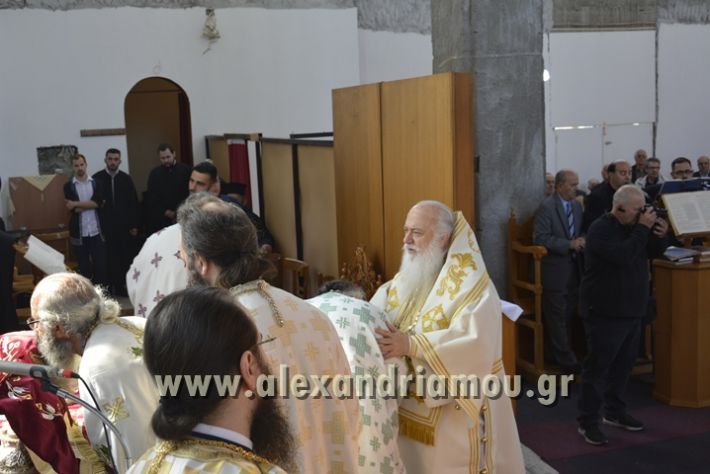 alexandriamou_xeiritonia_diakonoy_papaxrhstoy036