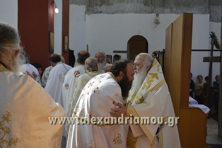 alexandriamou_xeiritonia_diakonoy_papaxrhstoy044