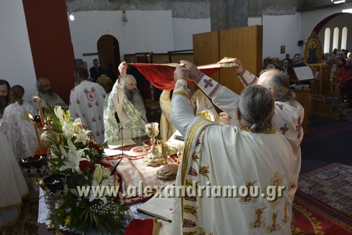 alexandriamou_xeiritonia_diakonoy_papaxrhstoy047