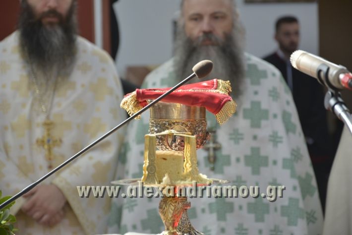 alexandriamou_xeiritonia_diakonoy_papaxrhstoy049