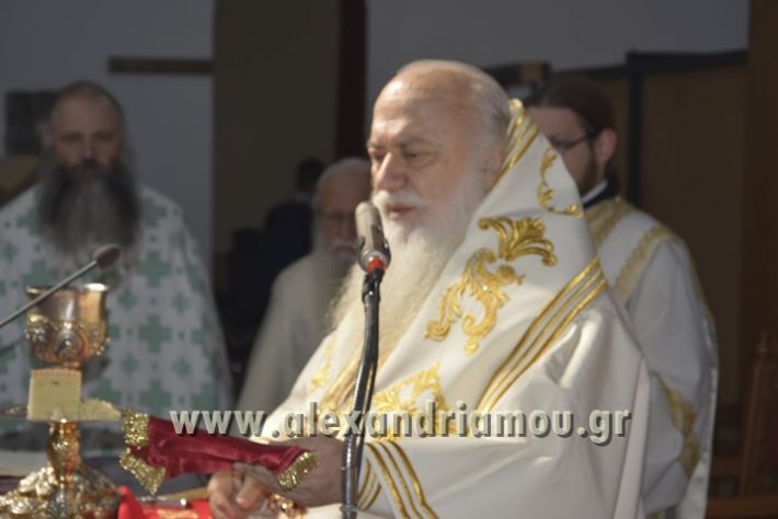 alexandriamou_xeiritonia_diakonoy_papaxrhstoy050