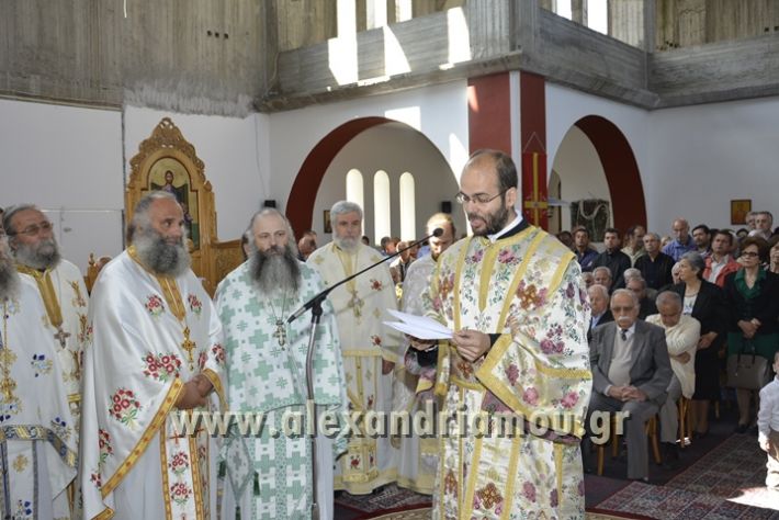 alexandriamou_xeiritonia_diakonoy_papaxrhstoy072