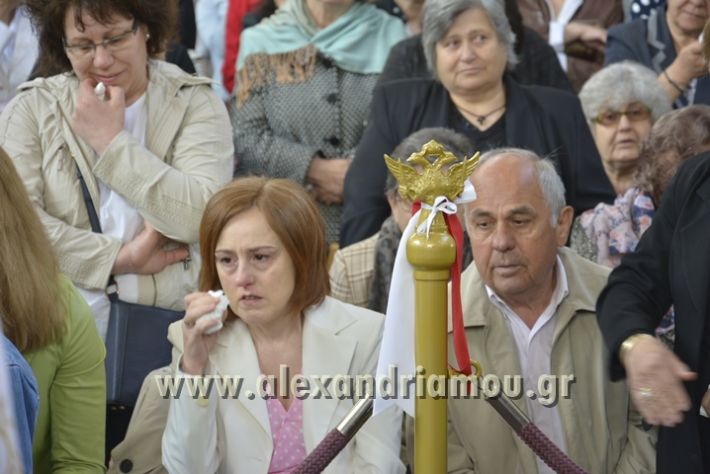 alexandriamou_xeiritonia_diakonoy_papaxrhstoy074