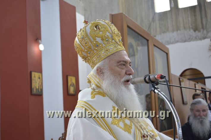 alexandriamou_xeiritonia_diakonoy_papaxrhstoy082