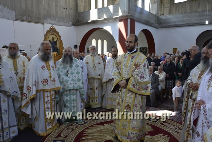 alexandriamou_xeiritonia_diakonoy_papaxrhstoy083