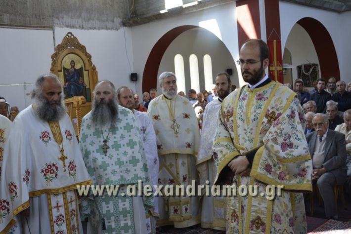 alexandriamou_xeiritonia_diakonoy_papaxrhstoy084