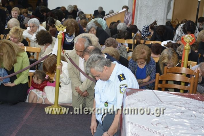 alexandriamou_xeiritonia_diakonoy_papaxrhstoy092