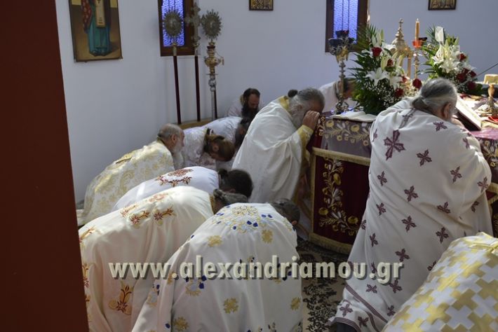 alexandriamou_xeiritonia_diakonoy_papaxrhstoy095