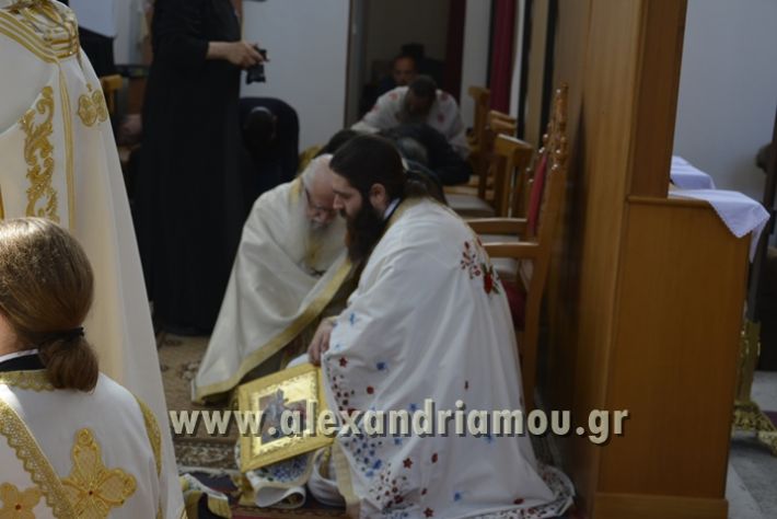 alexandriamou_xeiritonia_diakonoy_papaxrhstoy096