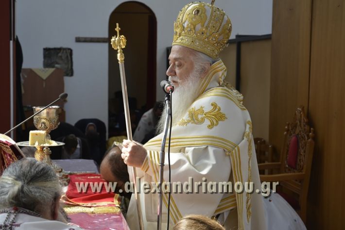 alexandriamou_xeiritonia_diakonoy_papaxrhstoy098