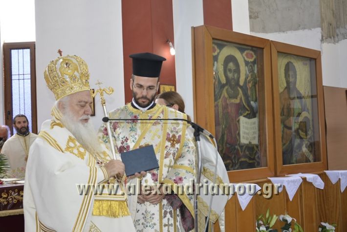 alexandriamou_xeiritonia_diakonoy_papaxrhstoy110