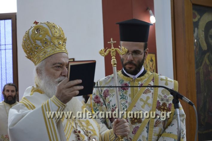 alexandriamou_xeiritonia_diakonoy_papaxrhstoy113