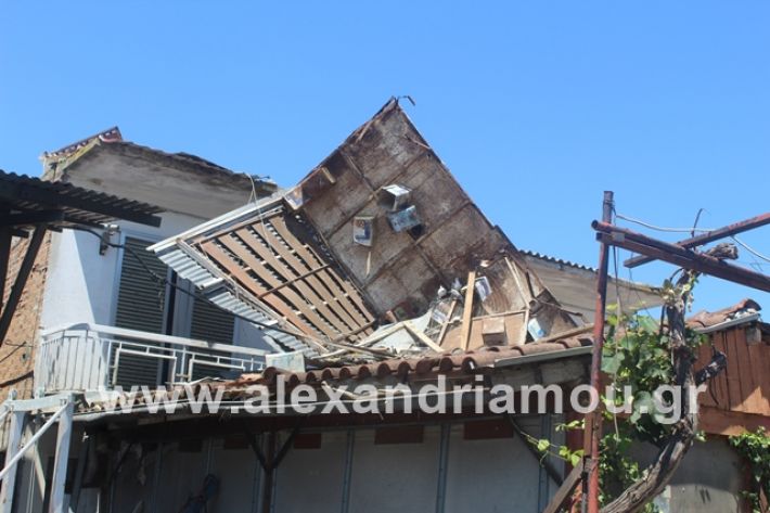 alexandriamou.gr_lamarines11.7.19019