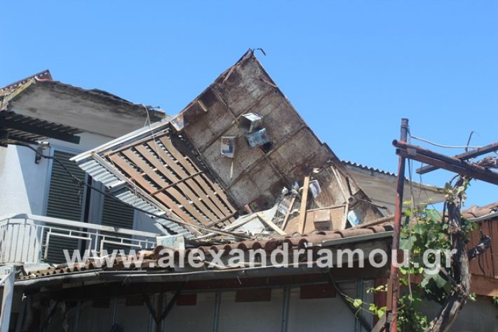 alexandriamou.gr_lamarines11.7.19020