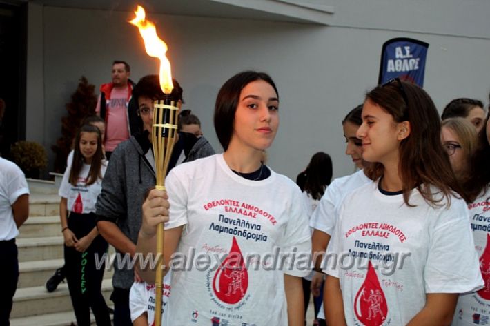 alexandriamou.gr_lampadidroia2019IMG_9042