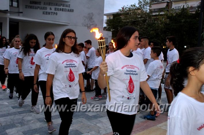 alexandriamou.gr_lampadidroia2019IMG_9053