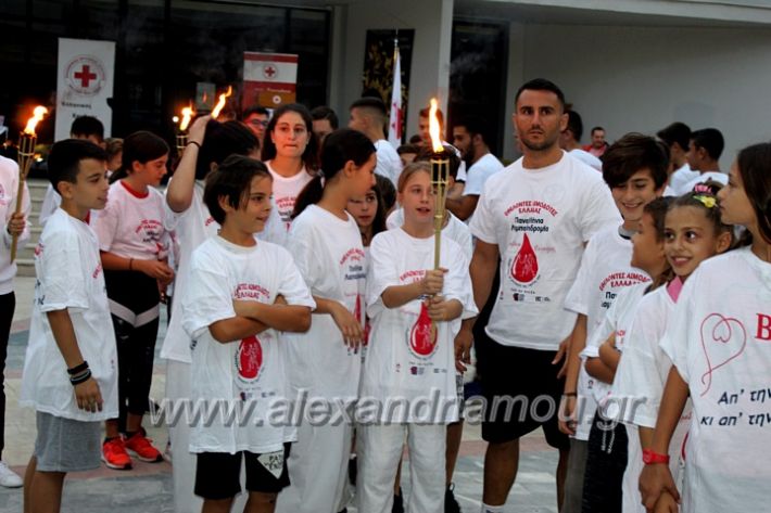 alexandriamou.gr_lampadidroia2019IMG_9069