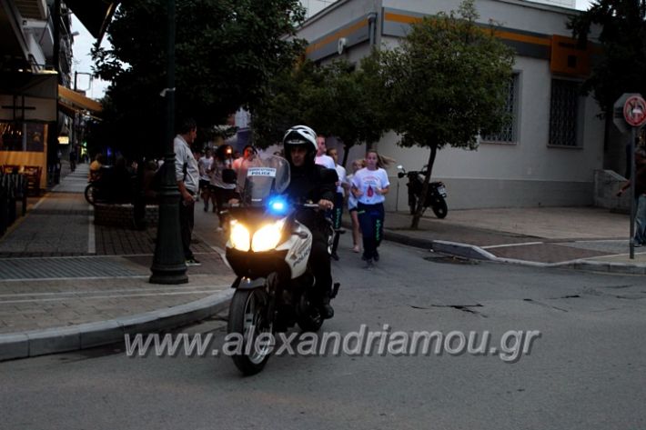 alexandriamou.gr_lampadidroia2019IMG_9080