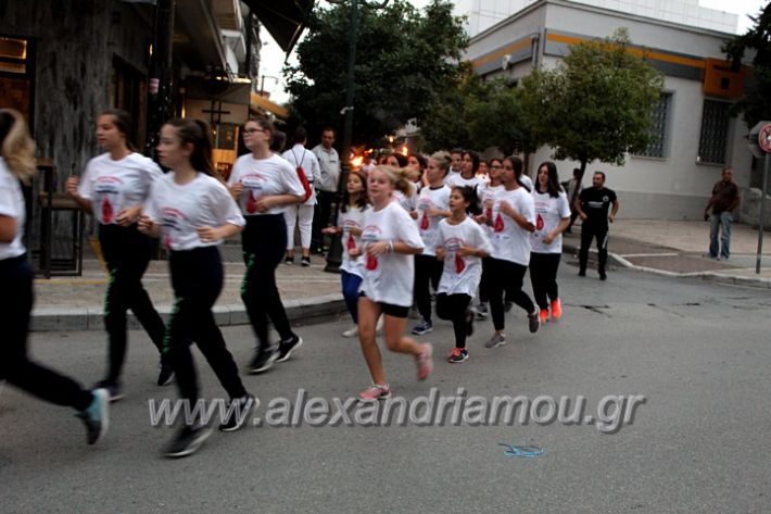 alexandriamou.gr_lampadidroia2019IMG_9083