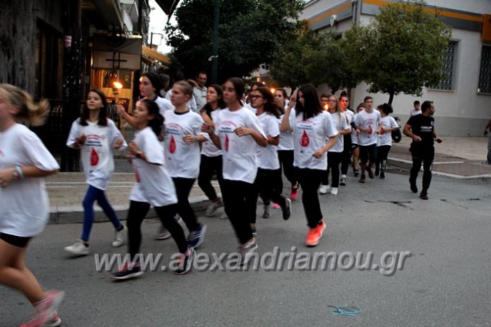 alexandriamou.gr_lampadidroia2019IMG_9084