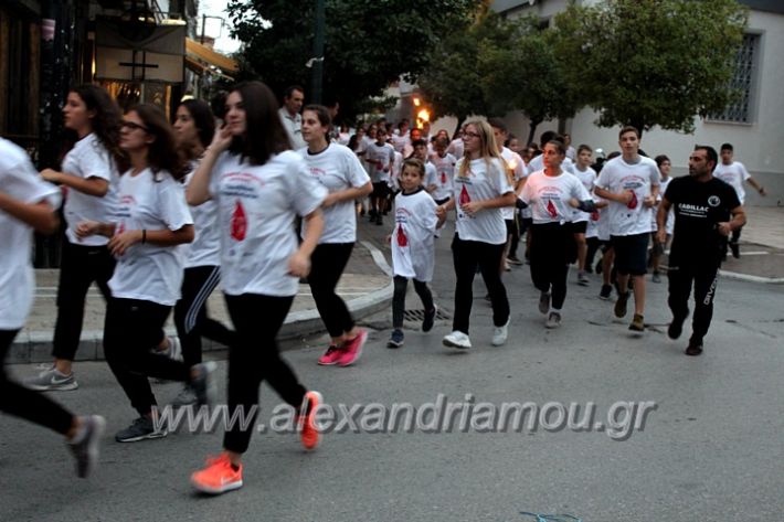 alexandriamou.gr_lampadidroia2019IMG_9085