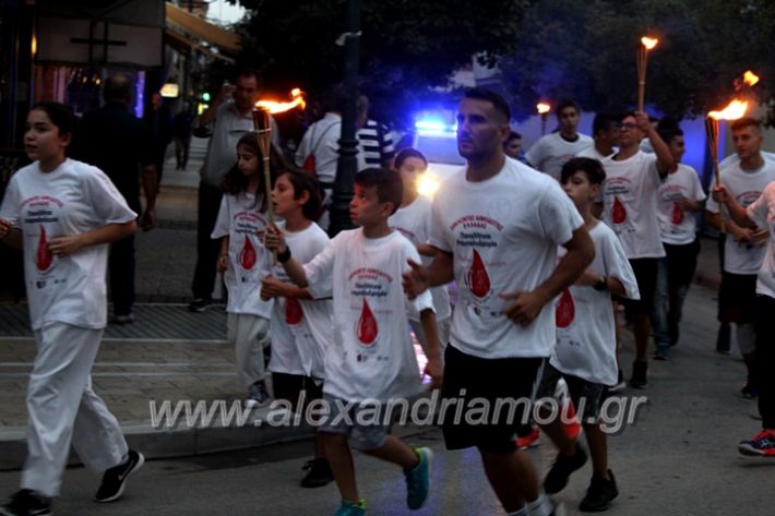 alexandriamou.gr_lampadidroia2019IMG_9092