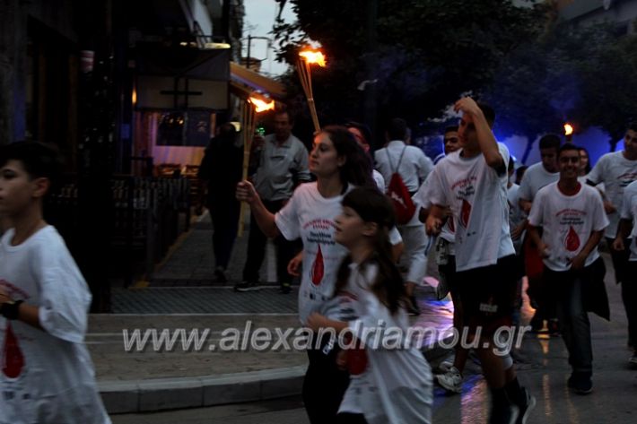 alexandriamou.gr_lampadidroia2019IMG_9094