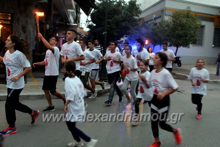 alexandriamou.gr_lampadidroia2019IMG_9095