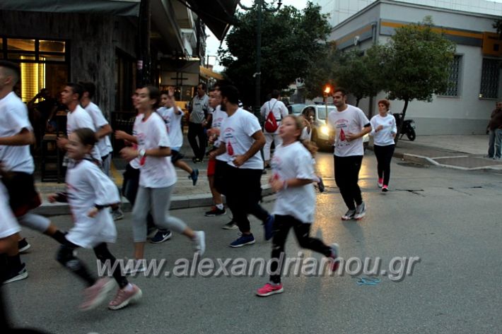 alexandriamou.gr_lampadidroia2019IMG_9096