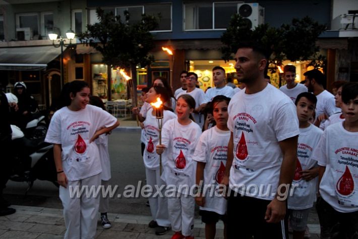 alexandriamou.gr_lampadidroia2019IMG_9107