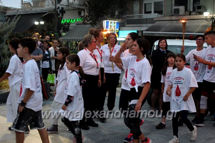 alexandriamou.gr_lampadidroia2019IMG_9110