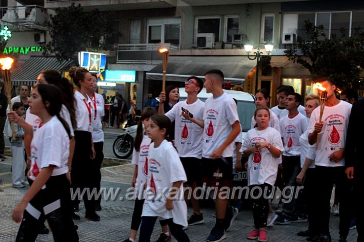 alexandriamou.gr_lampadidroia2019IMG_9111