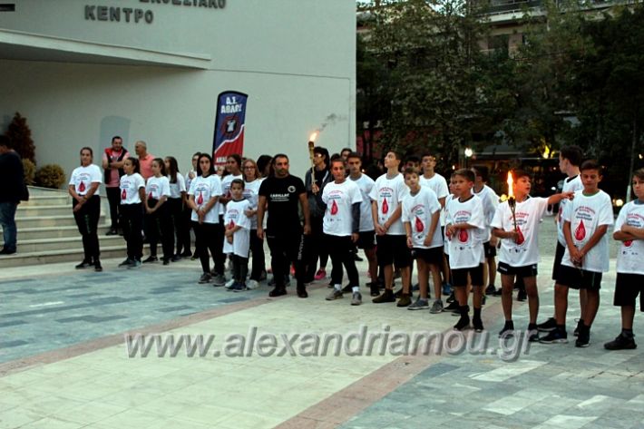 alexandriamou.gr_lampadidroia2019IMG_9123