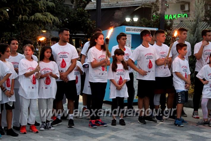 alexandriamou.gr_lampadidroia2019IMG_9132