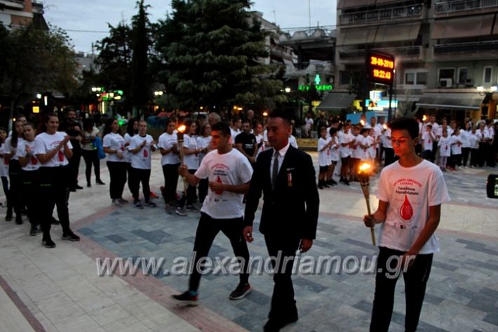 alexandriamou.gr_lampadidroia2019IMG_9143