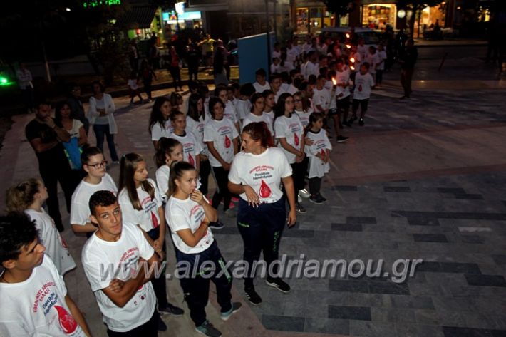 alexandriamou.gr_lampadidroia2019IMG_9243