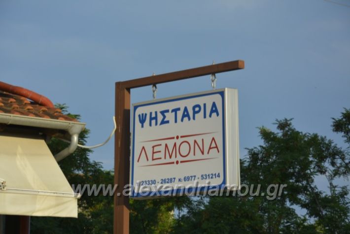 alexandriamou.gr_lemona001