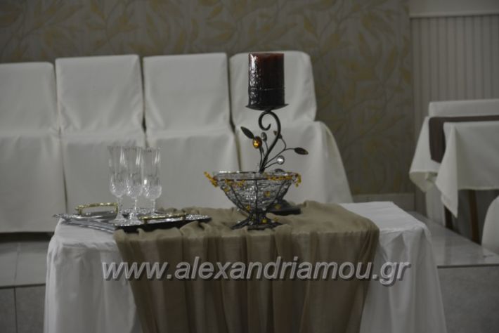 alexandriamou.gr_lemona009