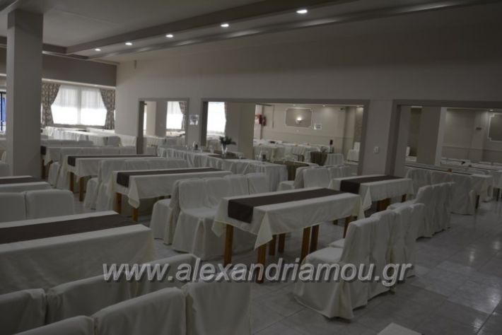 alexandriamou.gr_lemona013