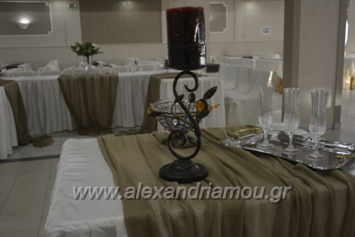 alexandriamou.gr_lemona036