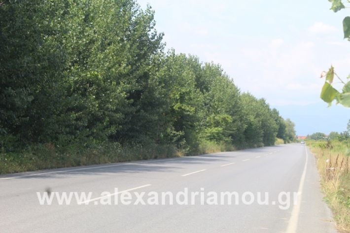 alexandriamou.gr_leukespeo2019008