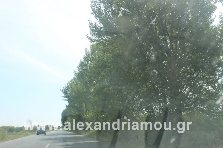 alexandriamou.gr_leukespeo2019029