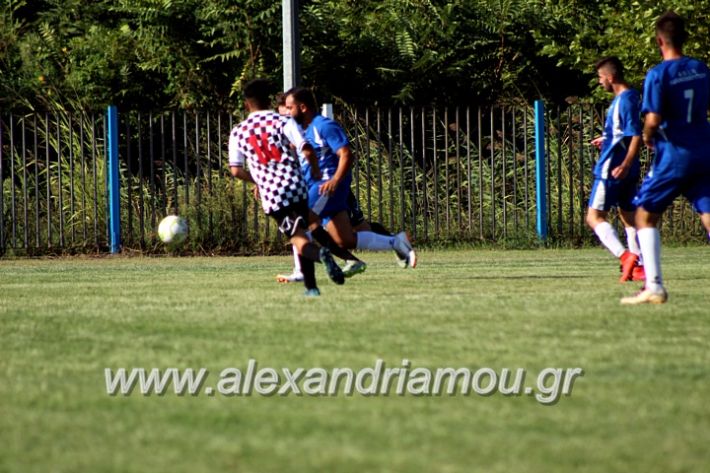 alexandriamou.gr_paokalexandriaslianobergi2019IMG_4669